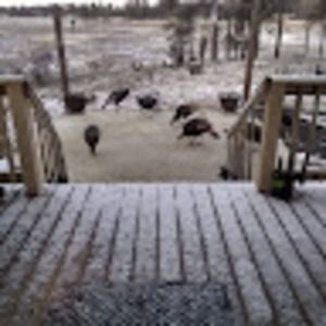 Meet your Posher, Jerry